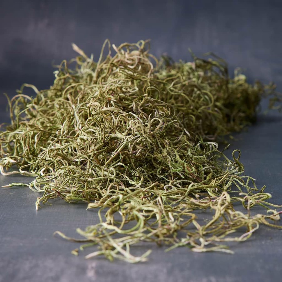 Floral * | Best Deal Ashland Spanish Moss—Basil Green