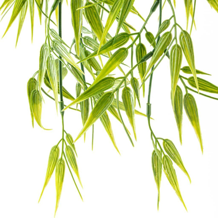 Floral * | Discount Hanging Bamboo Fern Bush Fern Collection By Ashland