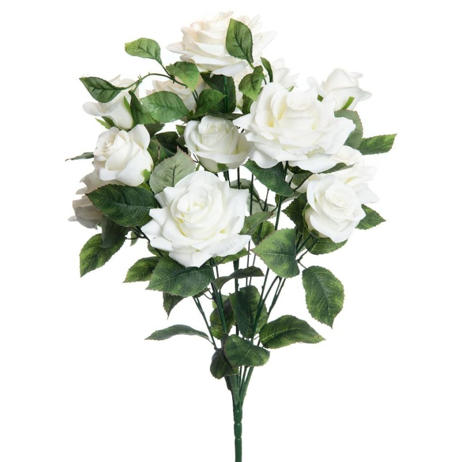 Floral * | Best Reviews Of White Rose Bush By Ashland