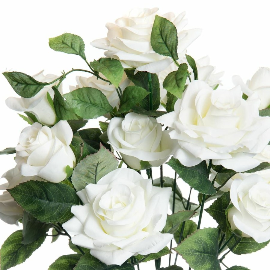 Floral * | Best Reviews Of White Rose Bush By Ashland