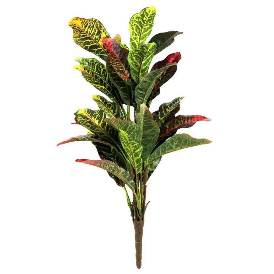 Floral * | Budget Croton Bush Classic Greenery By Ashland