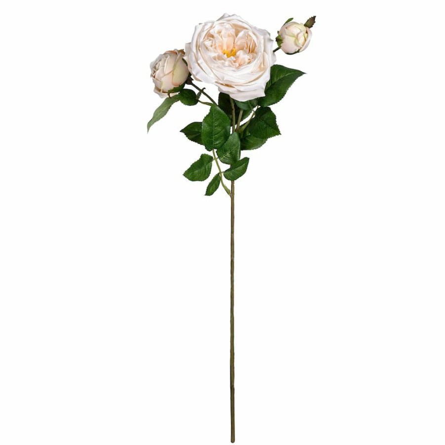 Floral * | Outlet 12 Pack: Toast English Rose Stem By Ashland