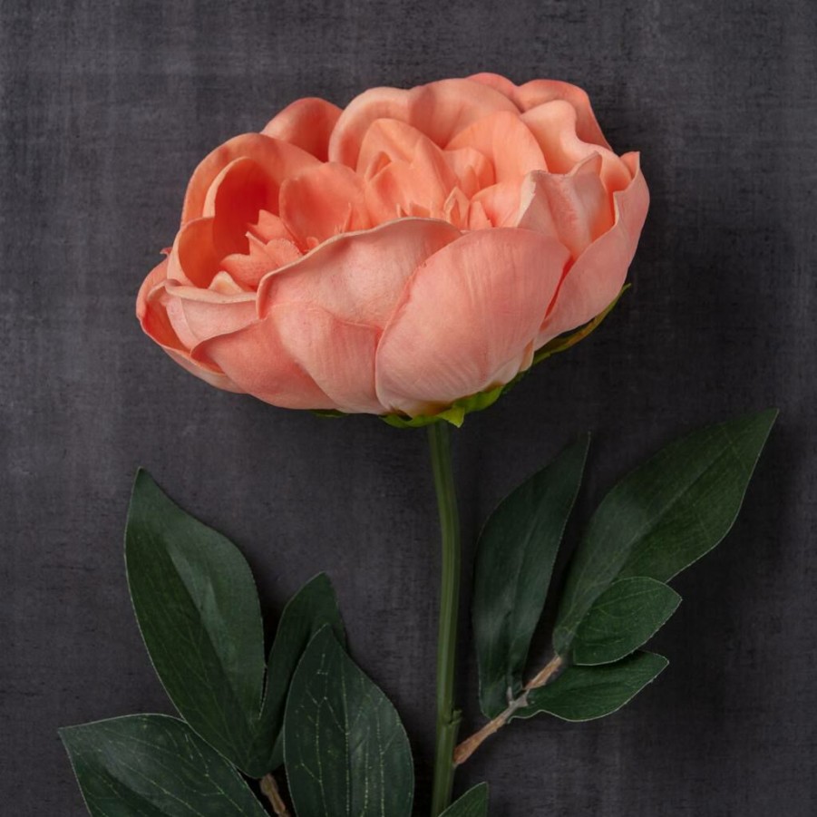 Floral * | Best Deal Coral Large Peony Stem By Ashland