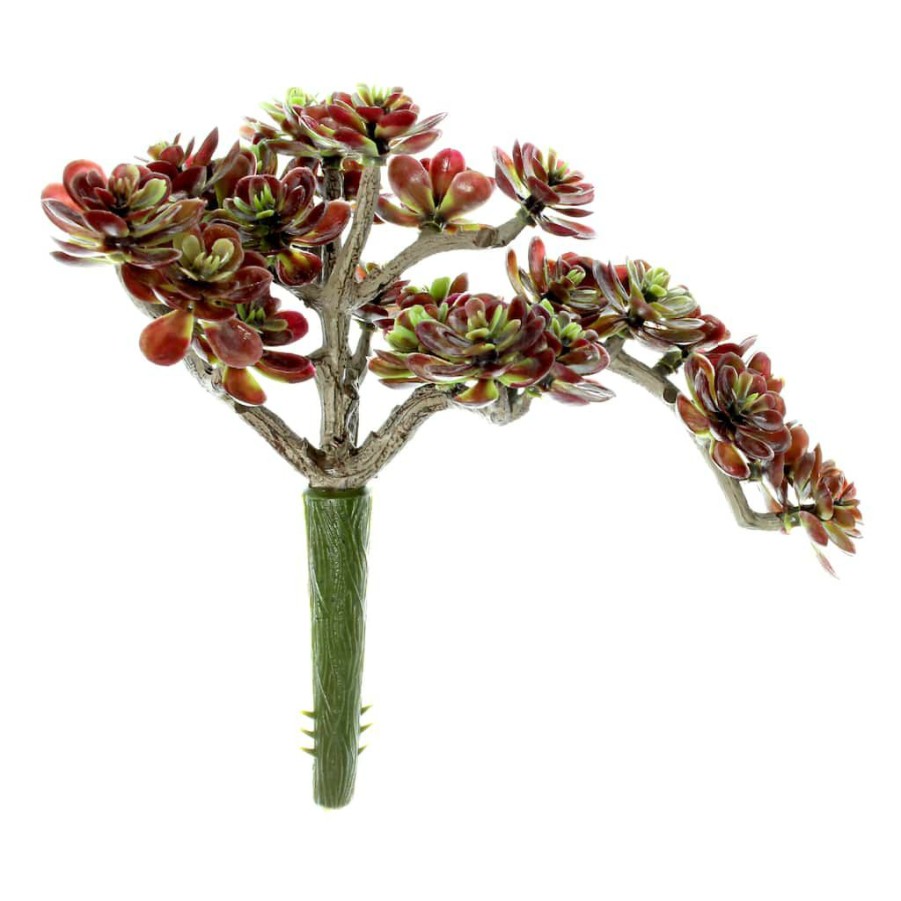 Floral * | Discount Creeping Red Sedum Pick By Ashland