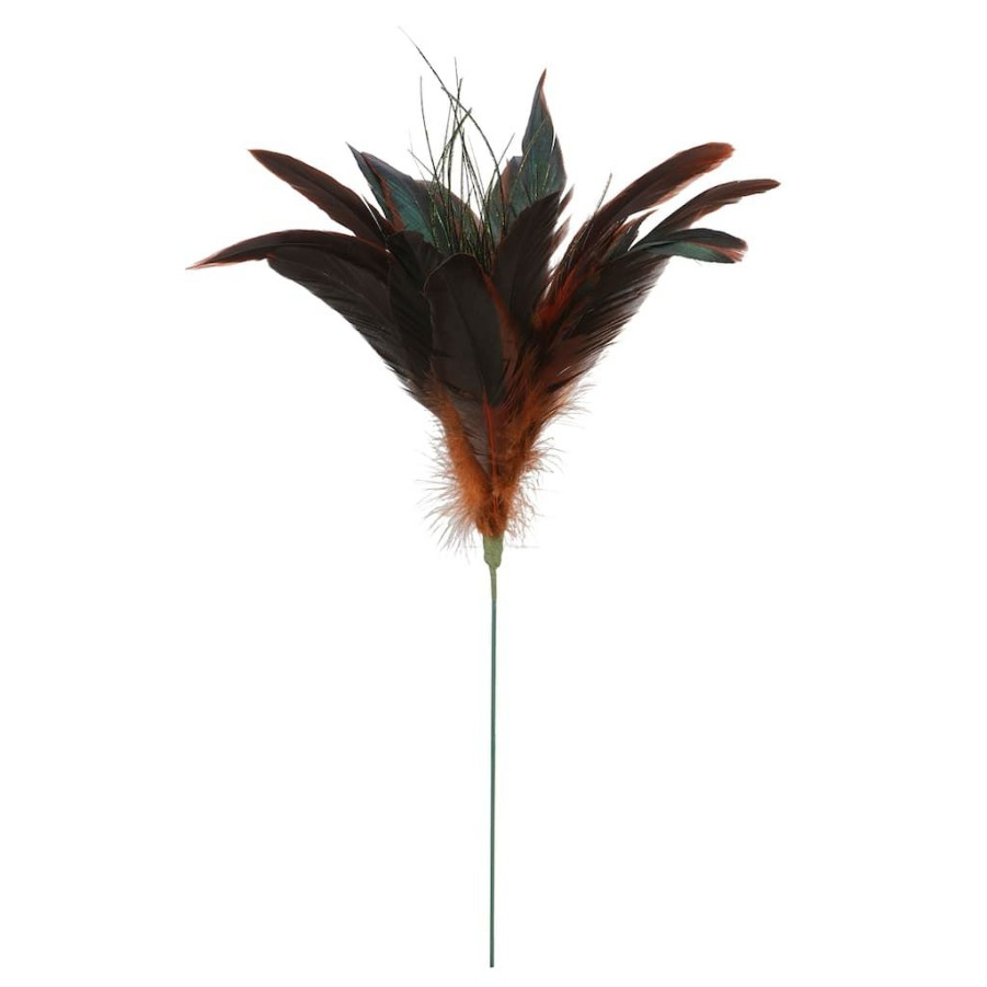 Floral * | Cheap Chocolate Peacock Feather Pick By Ashland