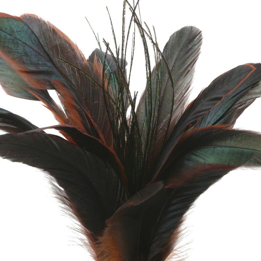 Floral * | Cheap Chocolate Peacock Feather Pick By Ashland