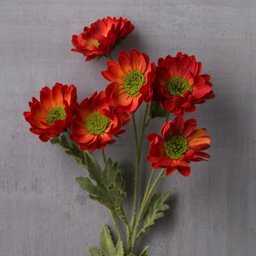 Floral * | Discount Rust Daisy Mum Stem By Ashland