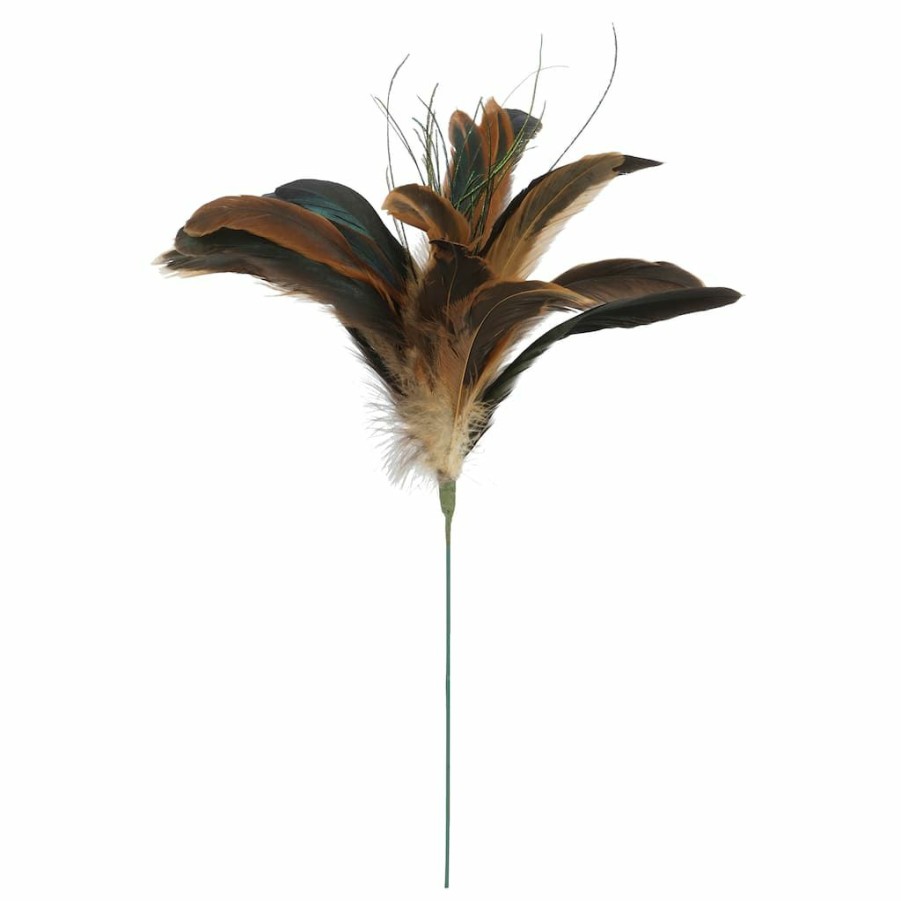 Floral * | Wholesale Natural Brown Peacock Feather Pick By Ashland