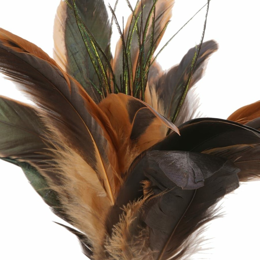 Floral * | Wholesale Natural Brown Peacock Feather Pick By Ashland