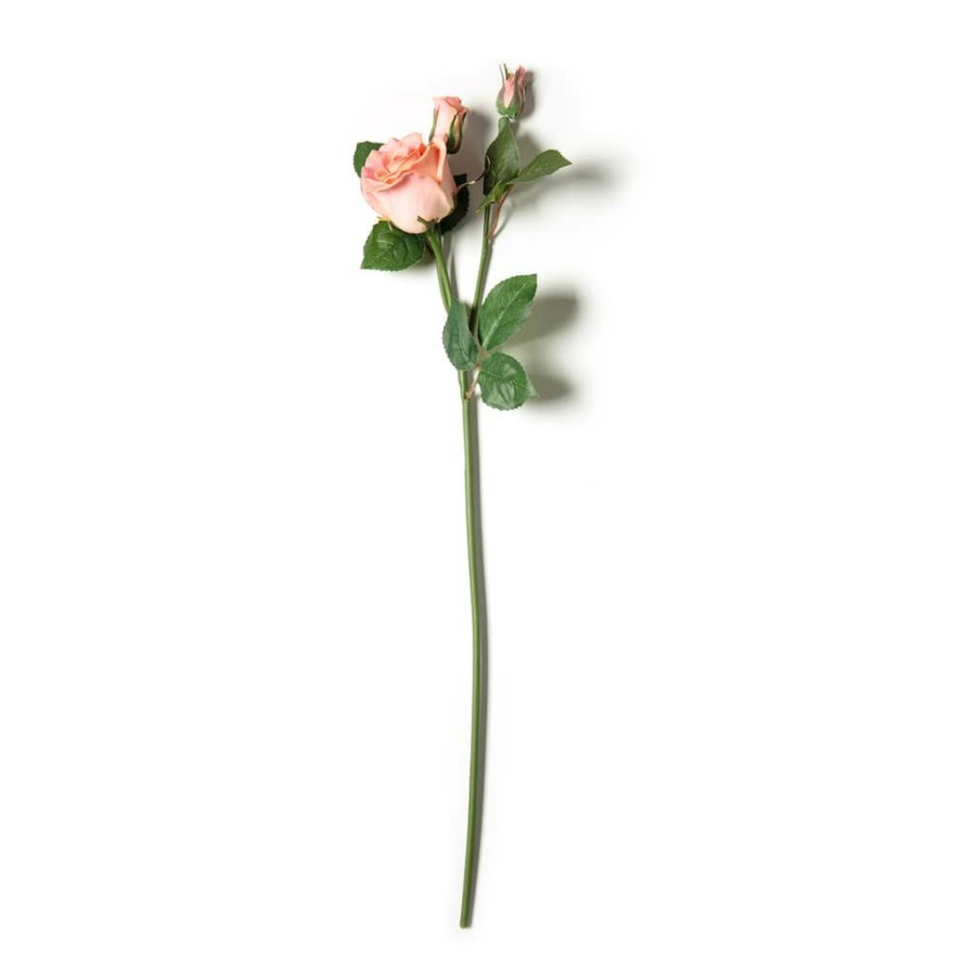 Floral * | New Blush Rose Stem By Ashland