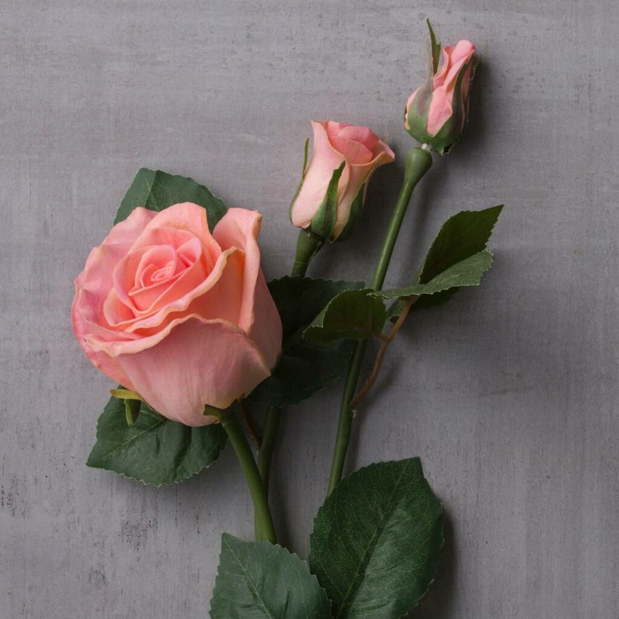 Floral * | New Blush Rose Stem By Ashland