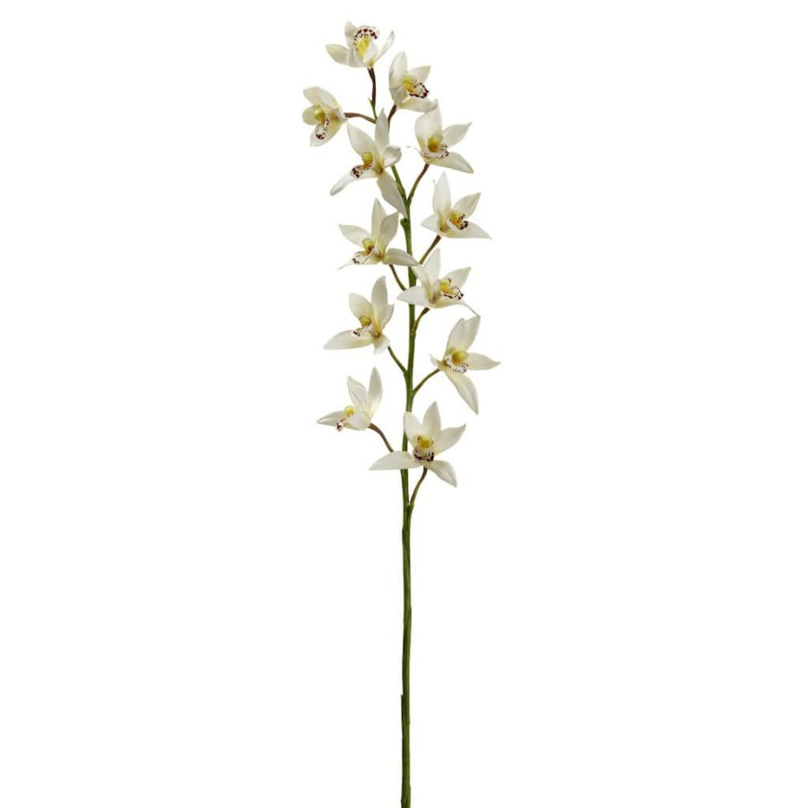 Floral * | Deals 8 Pack: Cream Boat Orchid Stem By Ashland