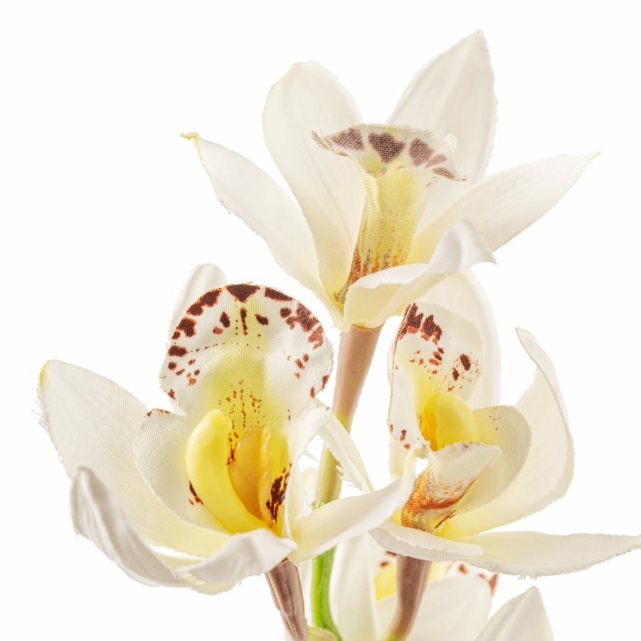 Floral * | Deals 8 Pack: Cream Boat Orchid Stem By Ashland