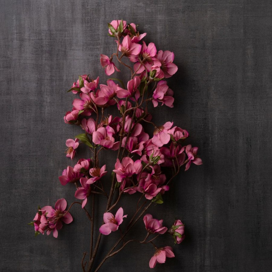 Floral * | Top 10 Mauve Stephanotis Stem By Ashland