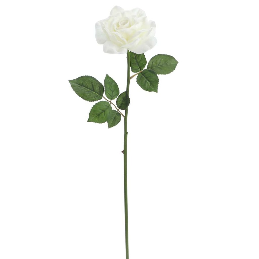 Floral * | Deals 6 Pack: White Rose Stem By Ashland