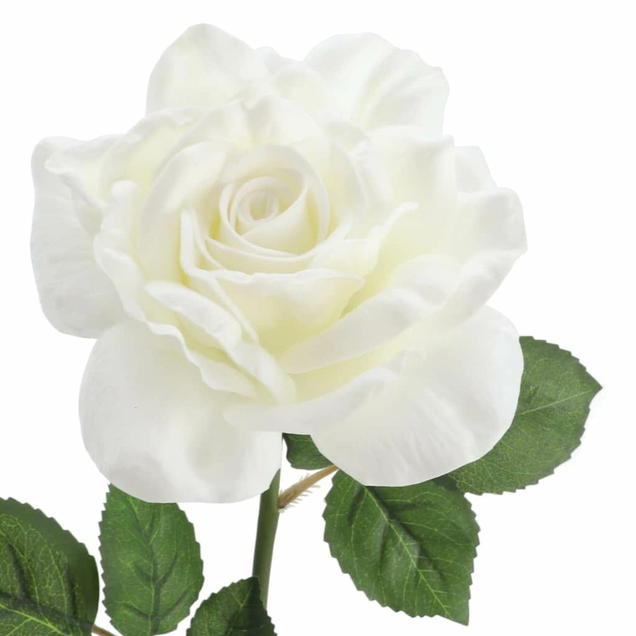 Floral * | Deals 6 Pack: White Rose Stem By Ashland