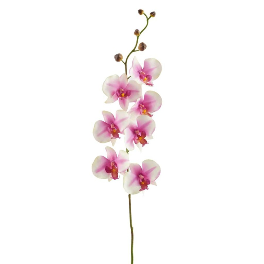 Floral * | Coupon 12 Pack: Pink & White Orchid Spray By Ashland