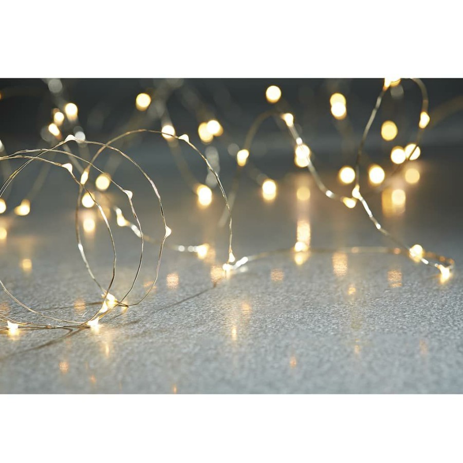 Home & Decor * | Best Pirce 12 Pack: 10Ft. Warm White Silver Wire Led String Lights By Ashland