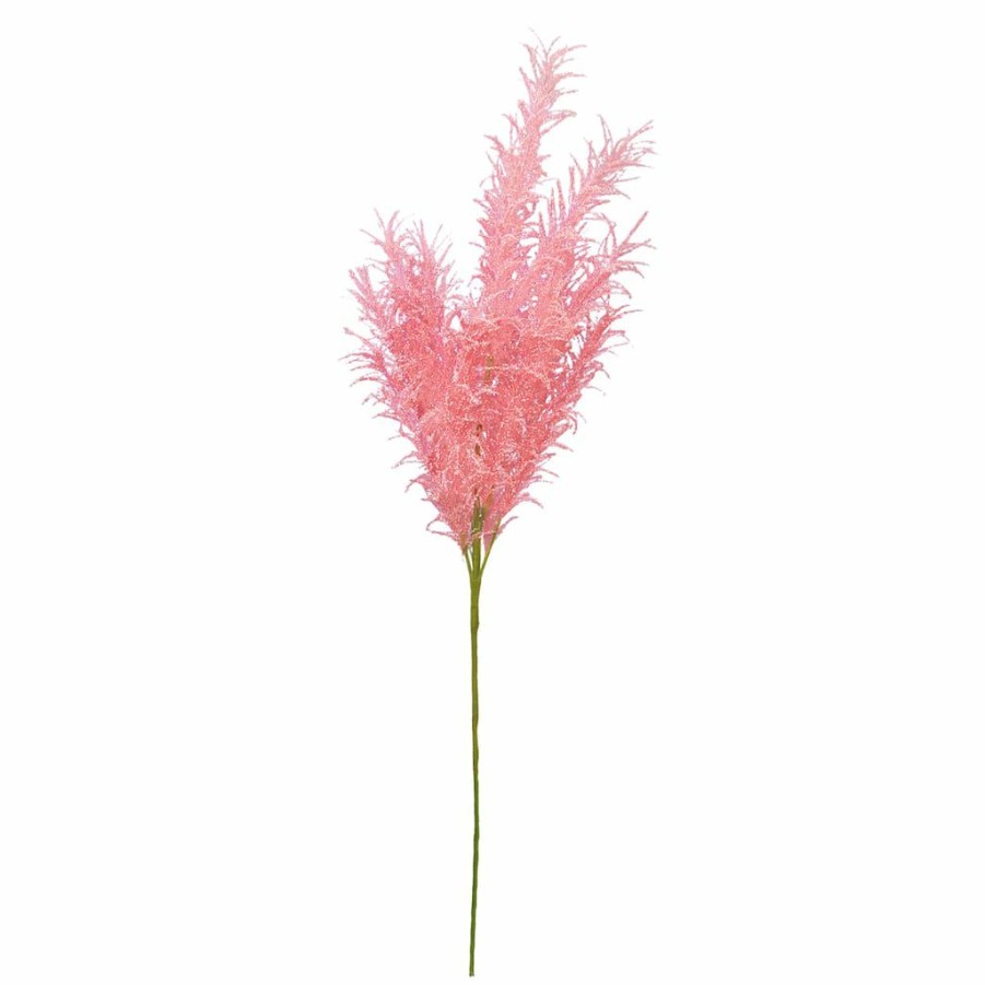 Floral * | Best Deal 6 Pack: Peach Pampas Grass Stem By Ashland