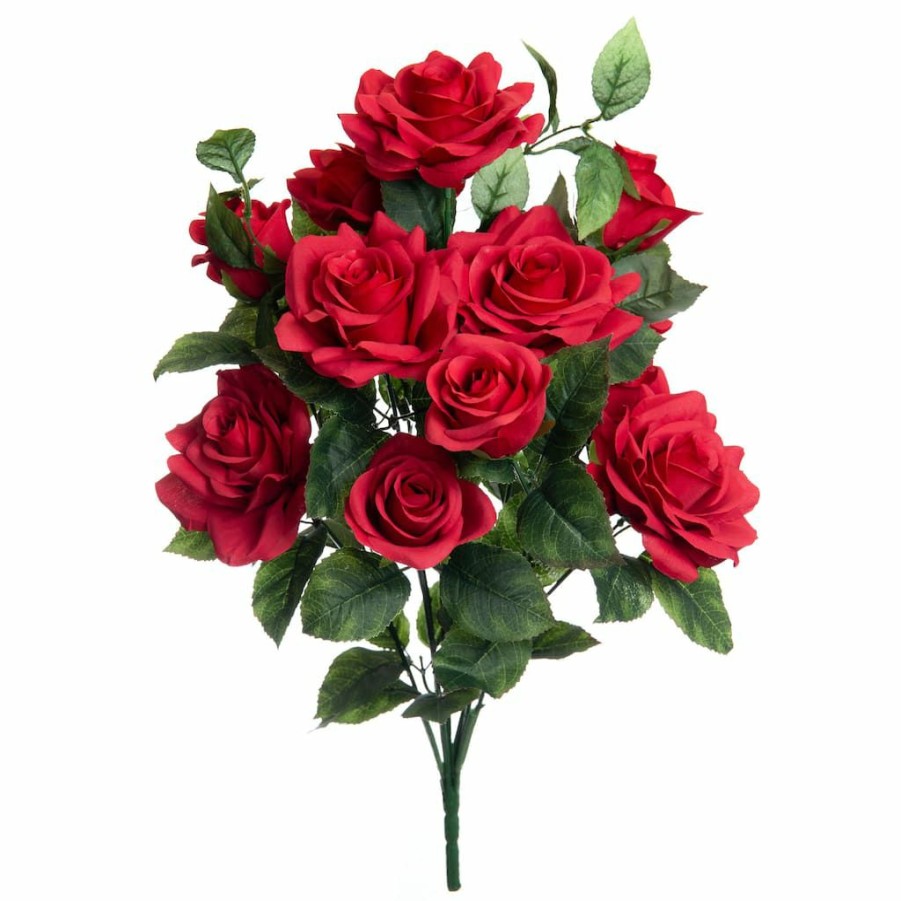 Floral * | Promo Red Rose Bush By Ashland