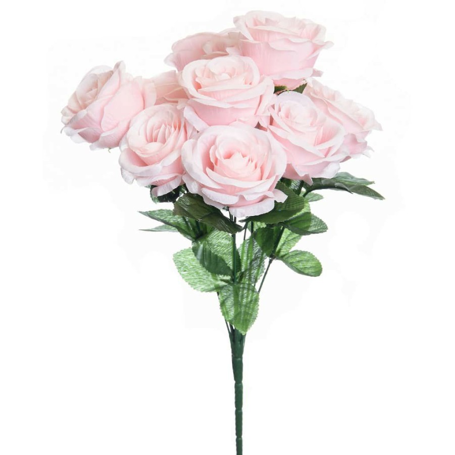 Floral * | New Pink Rose Bush By Ashland