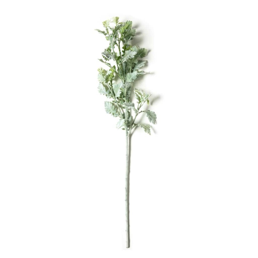 Floral * | Best Reviews Of Frosted Dusty Miller Spray Stem By Ashland