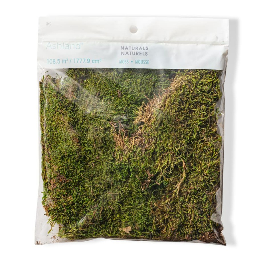 Floral * | Deals Forest Green Preserved Moss By Ashland