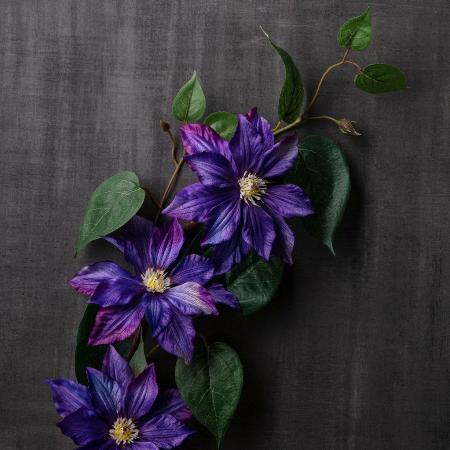 Floral * | Cheap Purple Tropical Clematis Stem By Ashland