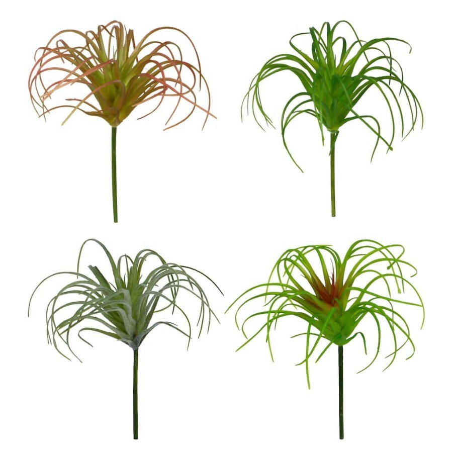 Floral * | Cheap Assorted Tillandsia Pick By Ashland