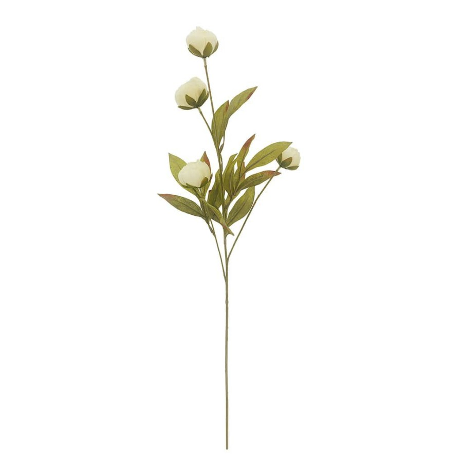 Floral * | Wholesale Cream Peony Stem By Ashland