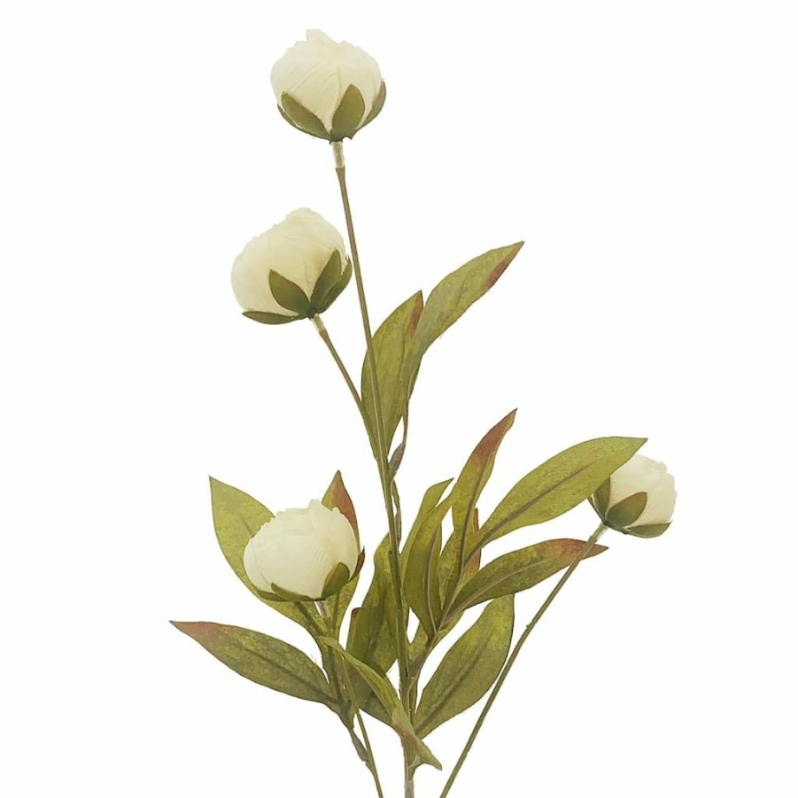 Floral * | Wholesale Cream Peony Stem By Ashland