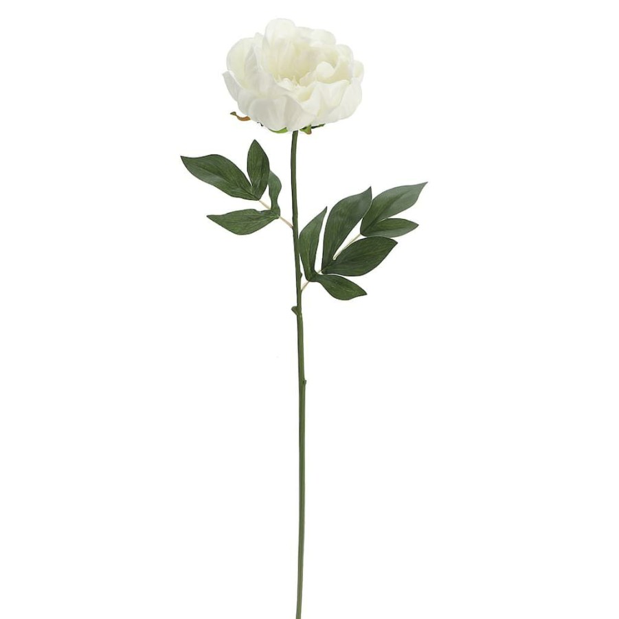 Floral * | Promo White Peony Stem By Ashland