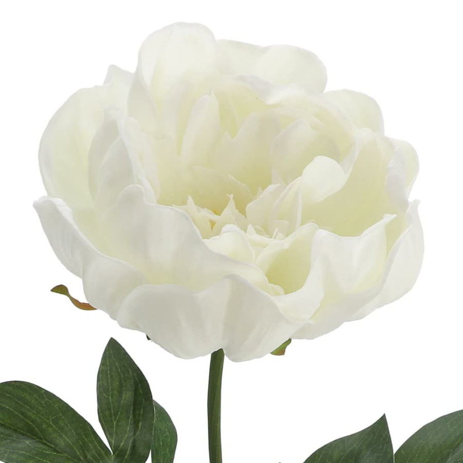 Floral * | Promo White Peony Stem By Ashland