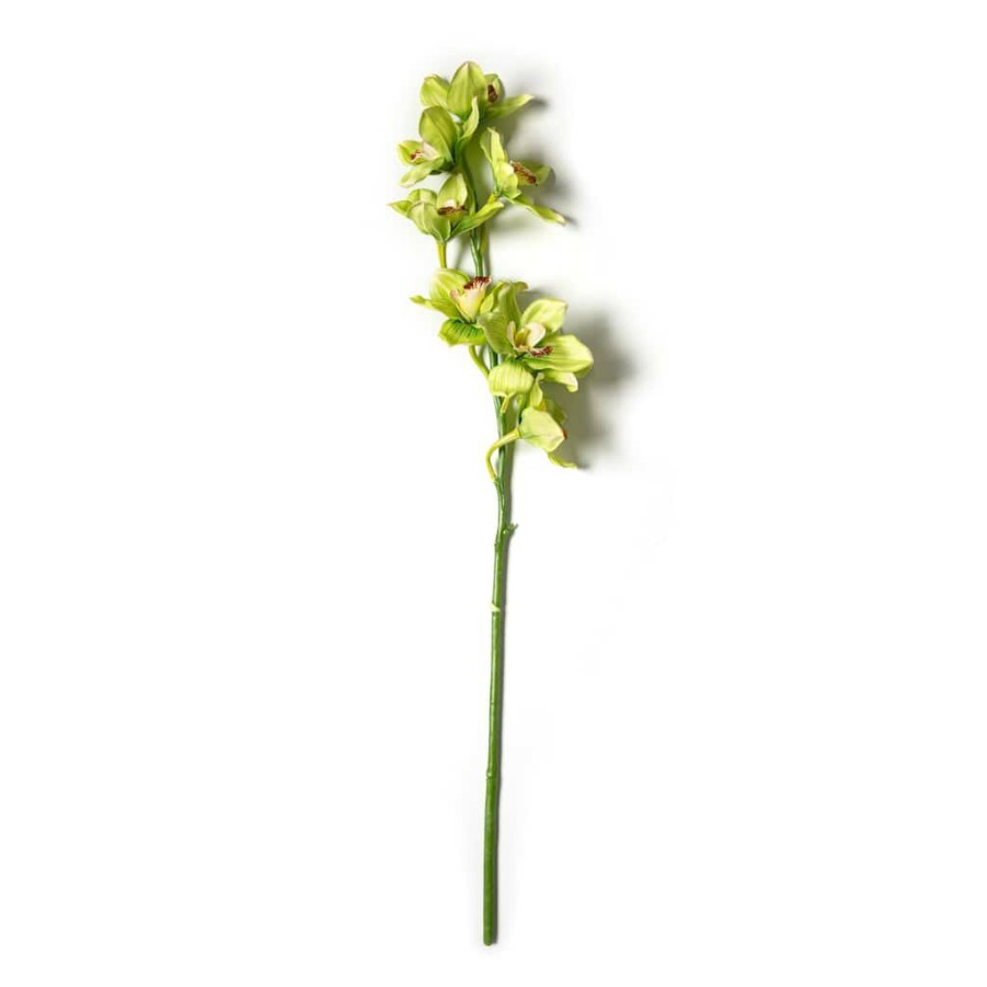 Floral * | Outlet Tropical Cymbidium Stem By Ashland