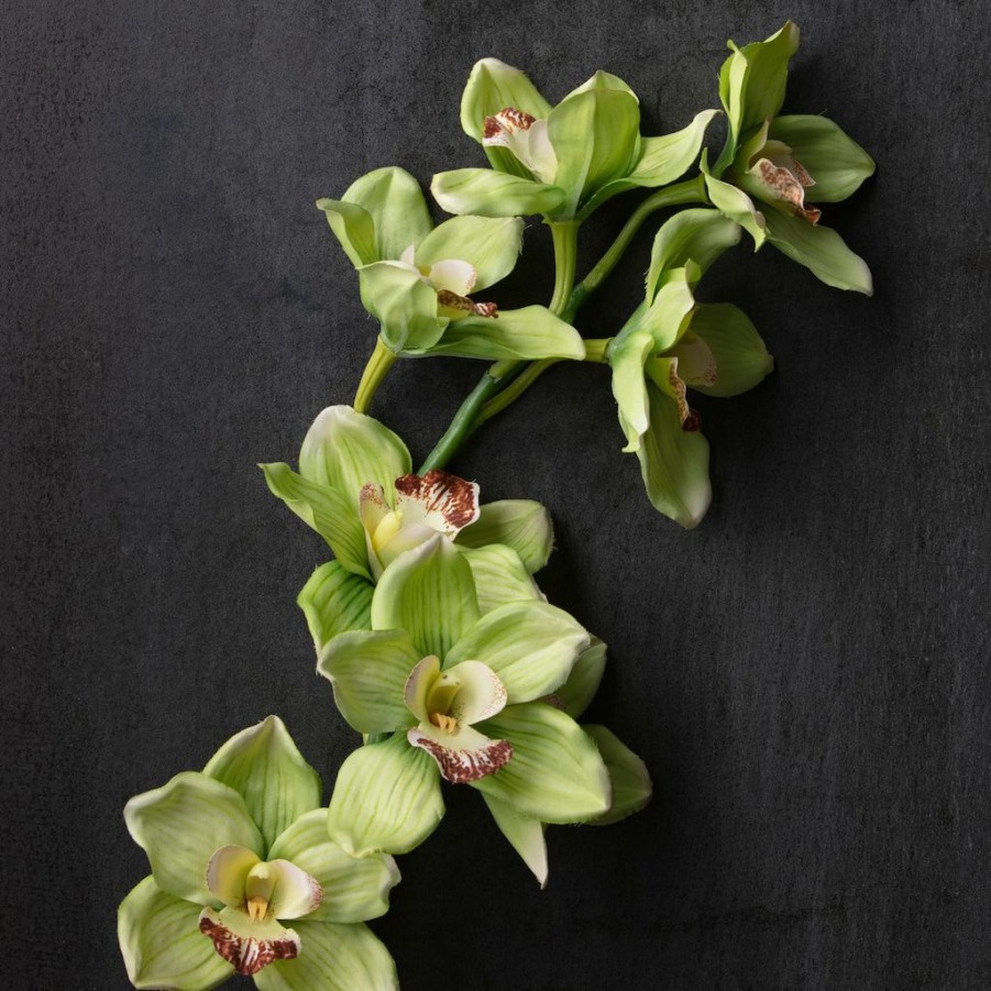 Floral * | Outlet Tropical Cymbidium Stem By Ashland