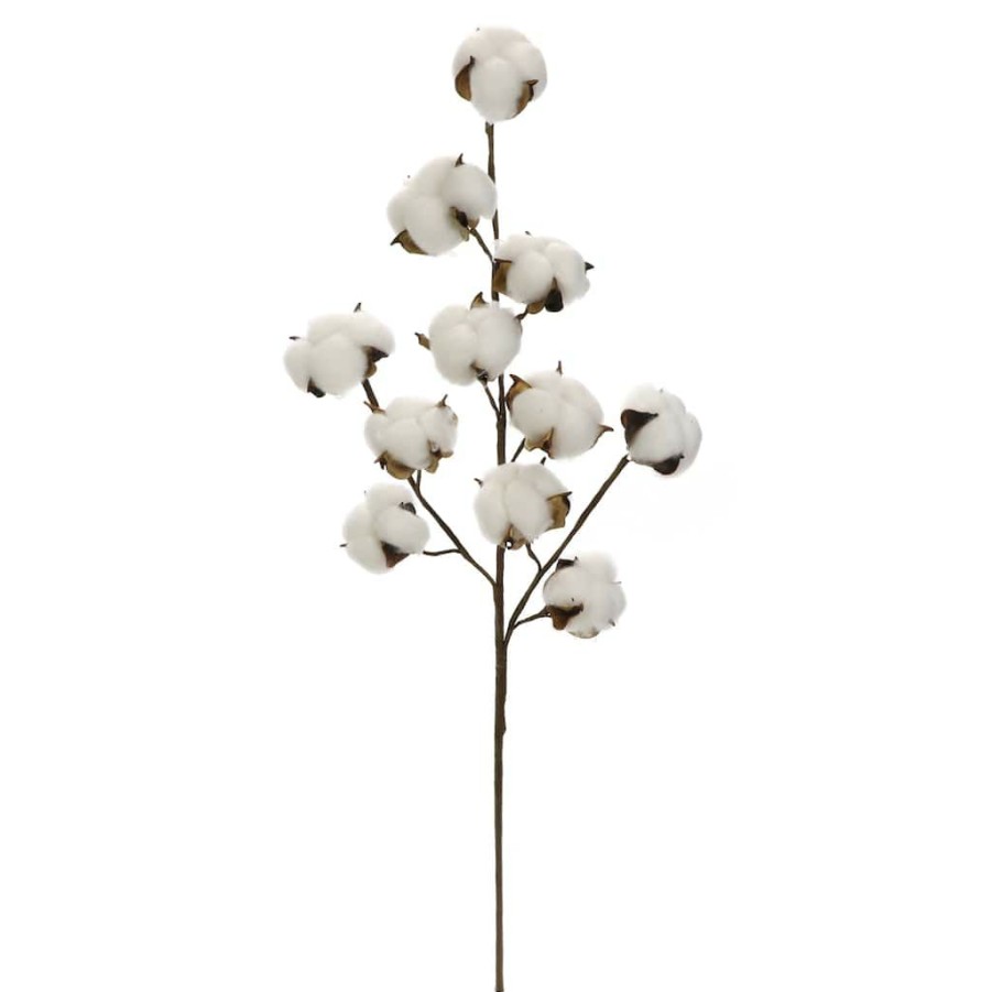 Floral * | Coupon Cotton Stem By Ashland