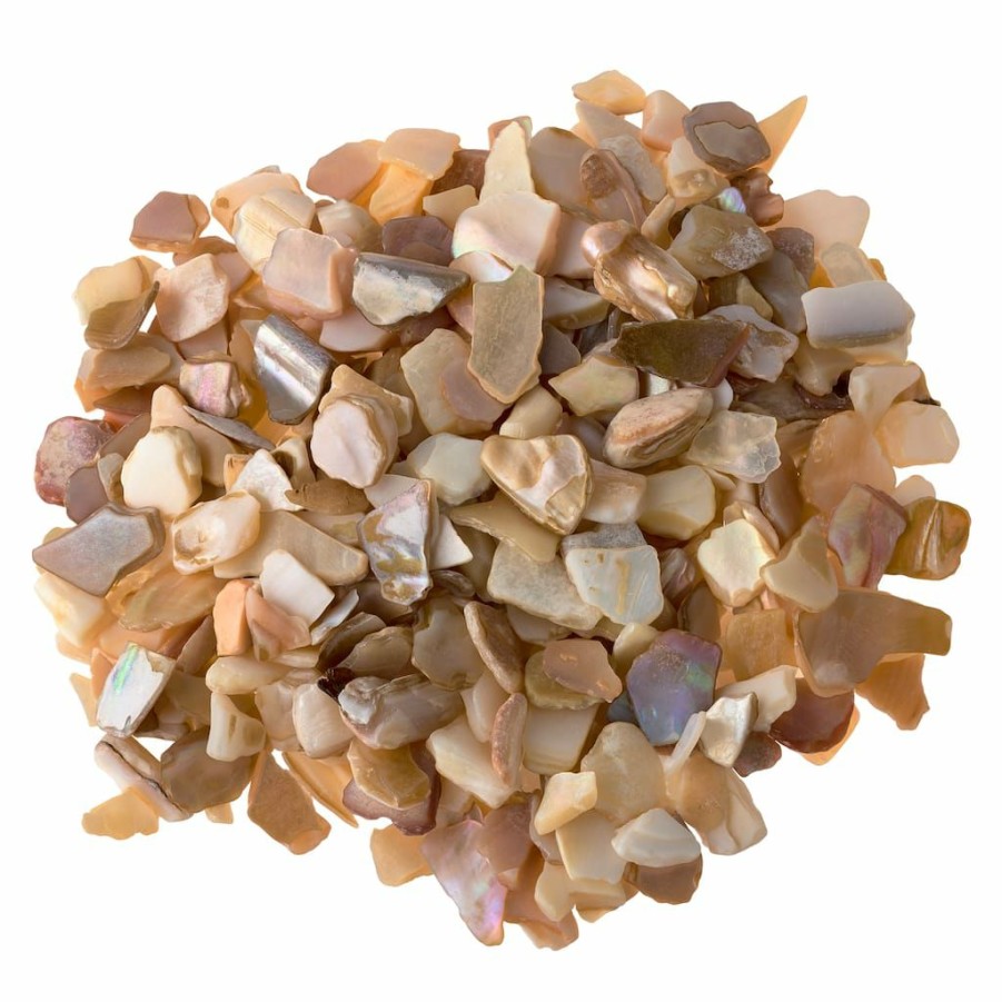 Floral * | Flash Sale Natural Crushed Shells By Ashland