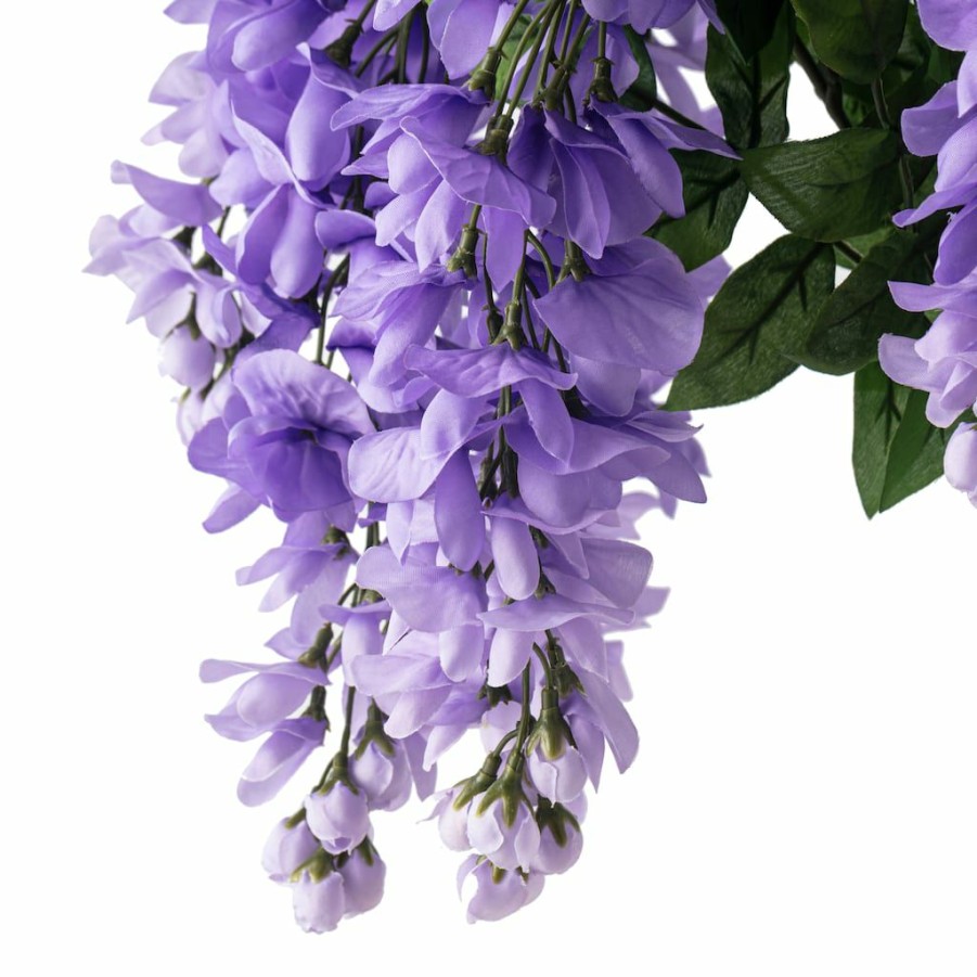 Floral * | Best Sale Purple Wisteria Bush By Ashland