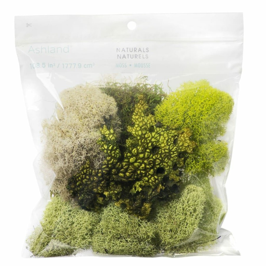 Floral * | Flash Sale 6 Pack: Moss Variety Pack By Ashland