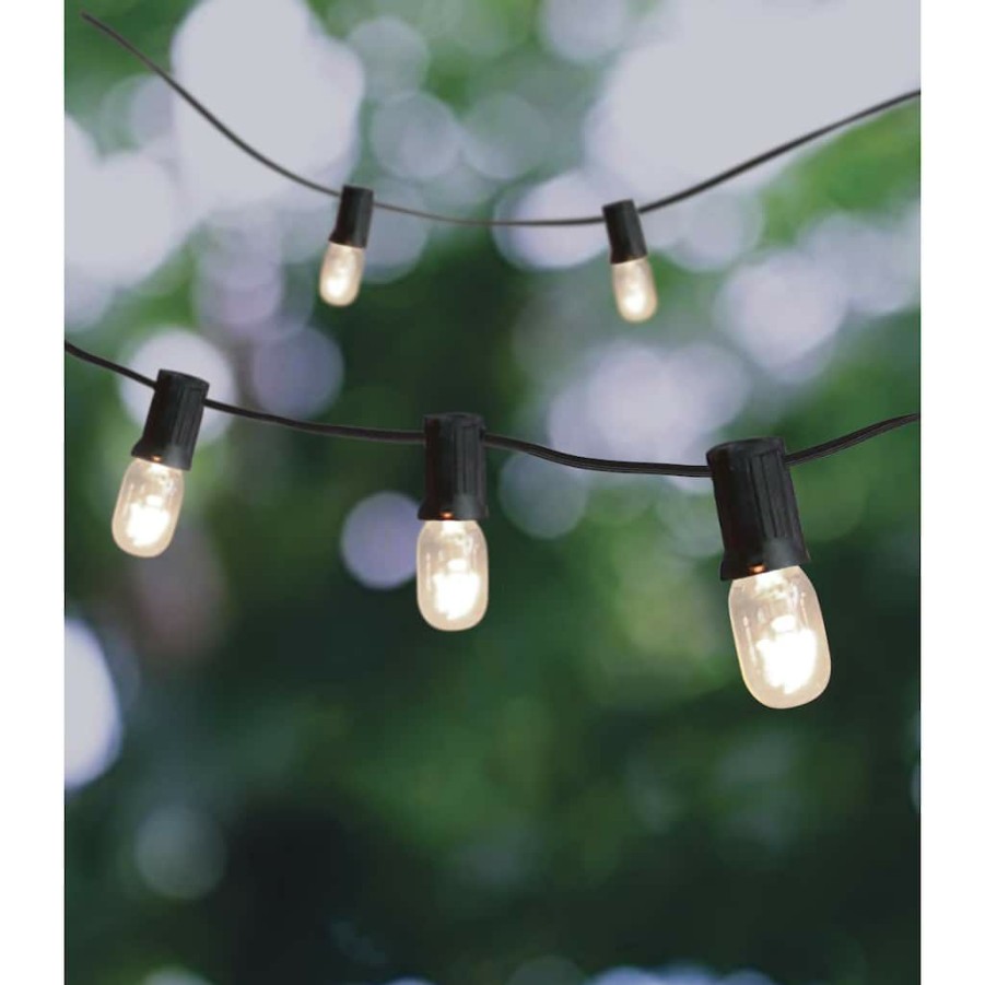 Home & Decor * | Flash Sale 20Ct. Clear Mini Edison String Lights By Ashland