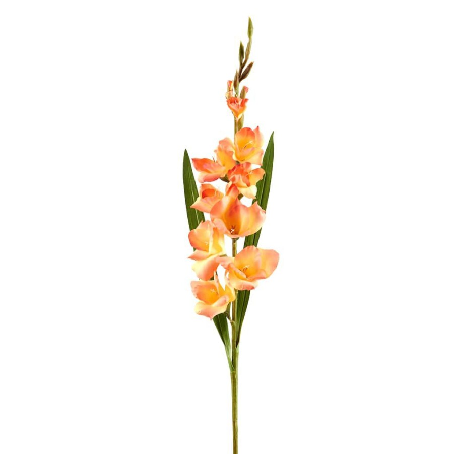 Floral * | New 12 Pack: Salmon Gladiolus Stem By Ashland