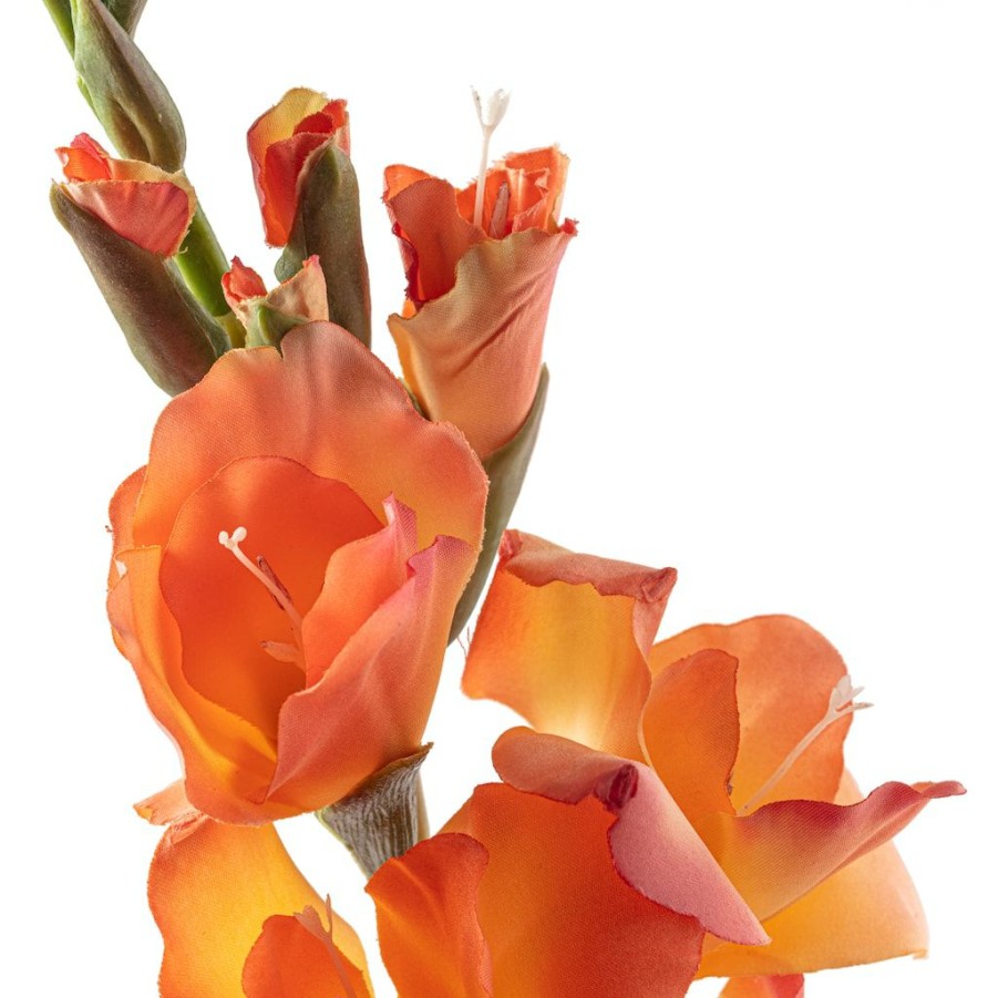 Floral * | New 12 Pack: Salmon Gladiolus Stem By Ashland