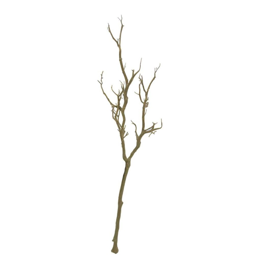 Floral * | Discount 8 Pack: Brown Bare Birch Branch By Ashland