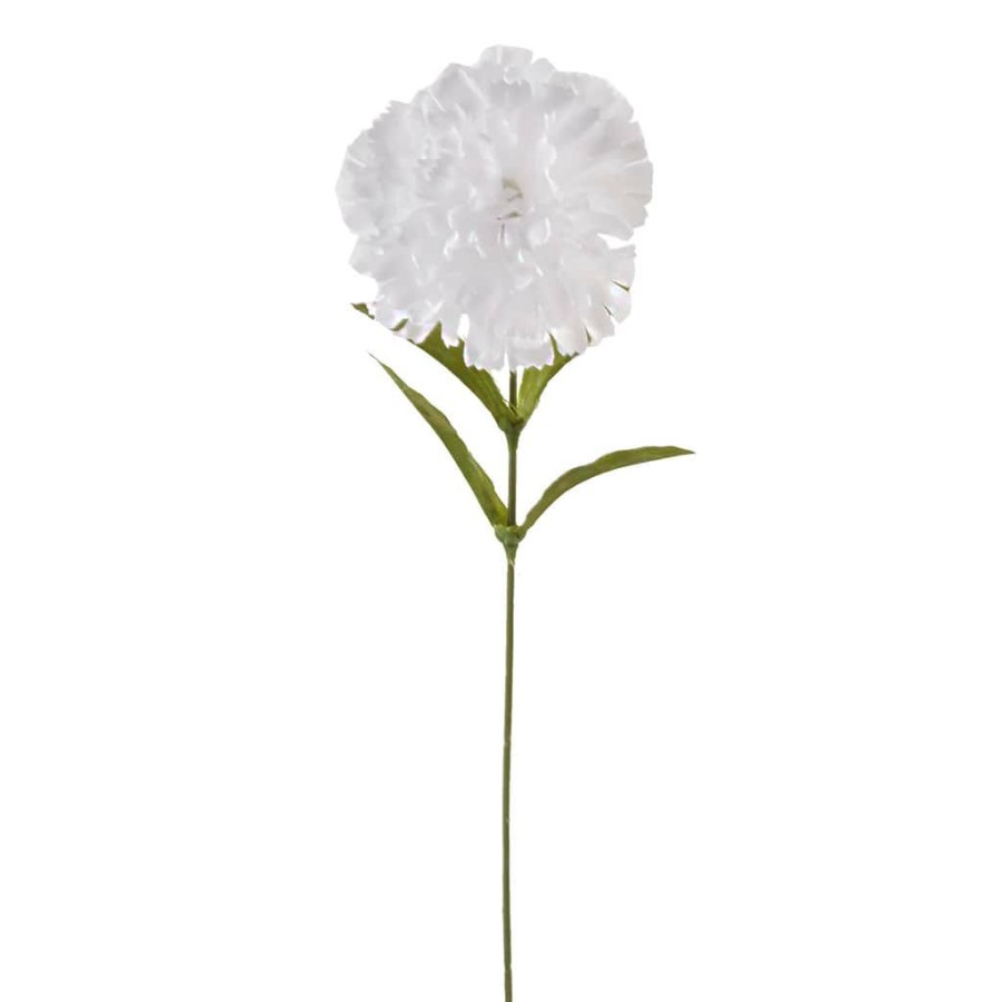 Floral * | Cheap White Carnation Spray By Ashland