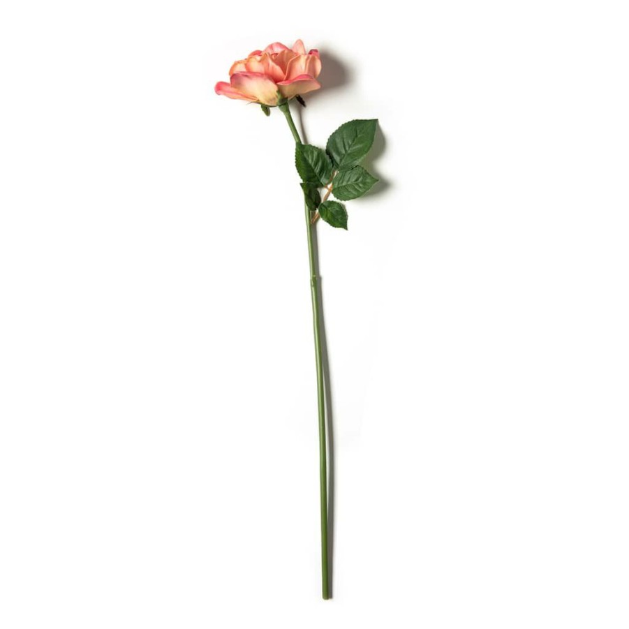 Floral * | Cheapest Pink Rose Stem By Ashland