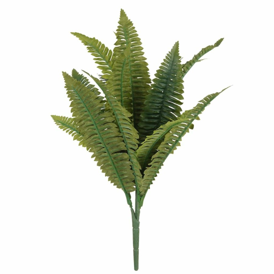 Floral * | Best Sale 12 Pack: Green Boston Fern Bush By Ashland