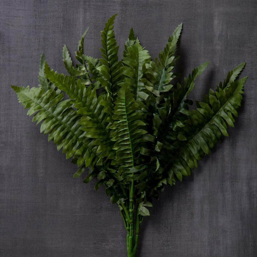 Floral * | Best Sale 12 Pack: Green Boston Fern Bush By Ashland