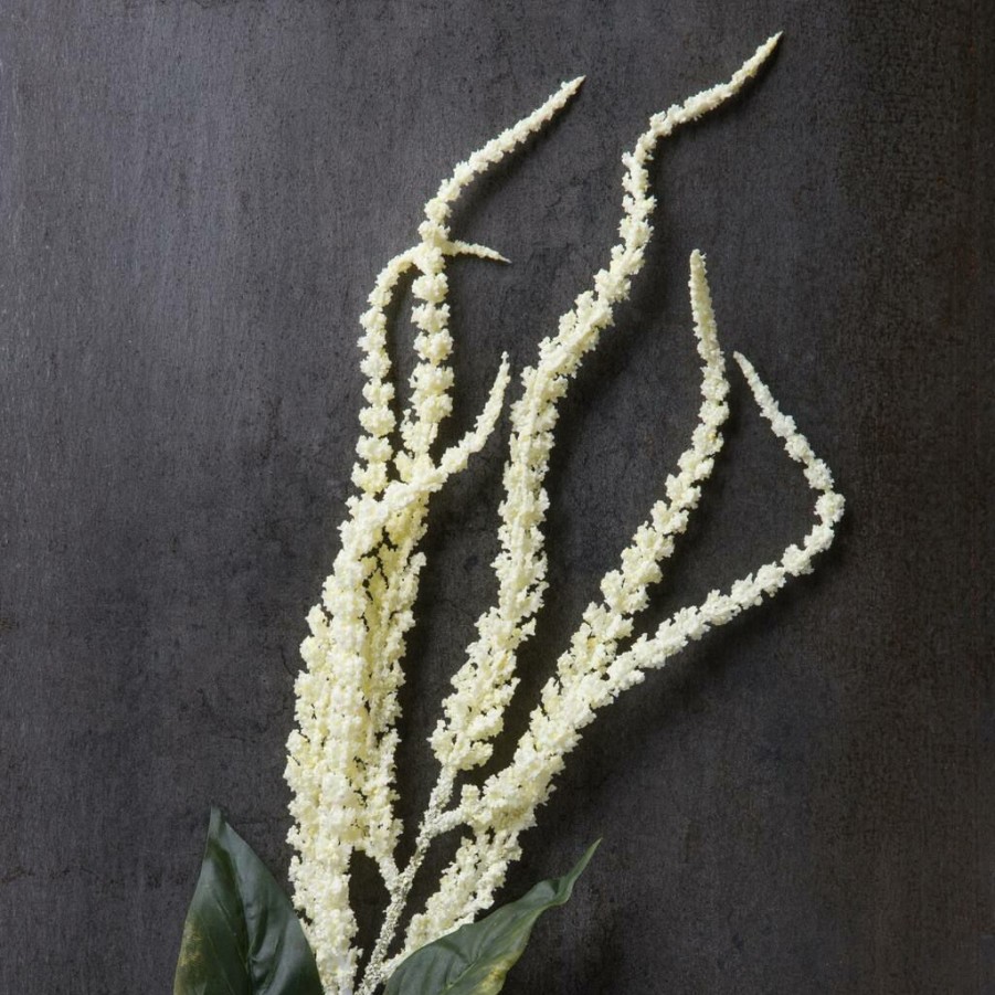 Floral * | Budget Cream Amaranthus Stem By Ashland