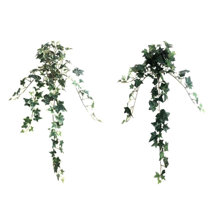 Floral * | Outlet 12 Pack: Assorted Mini English Ivy Bush By Ashland