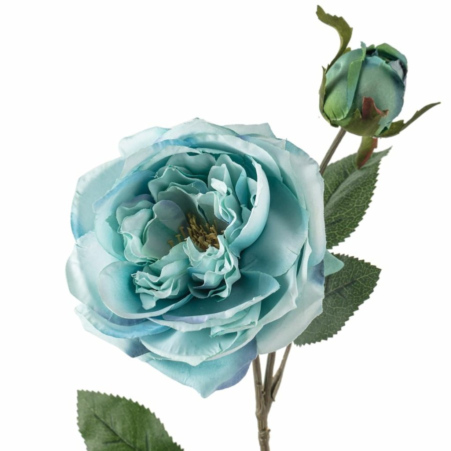 Floral * | Coupon 12 Pack: Teal English Rose Stem By Ashland